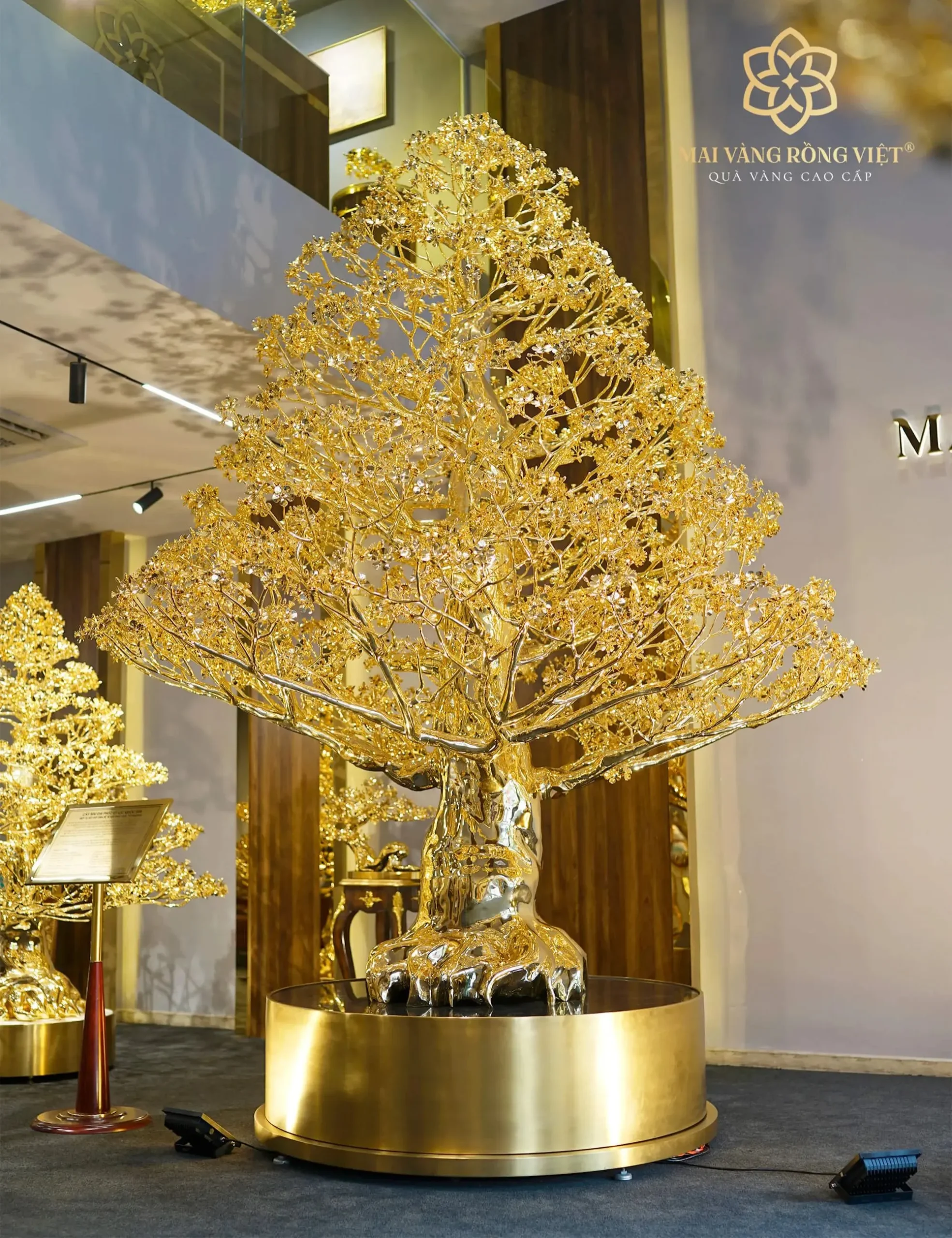 Cây Mai Đại Phúc Mạ Vàng 24K Cao 3 Mét 1 Cây Mai Đại Phúc Mạ Vàng 24K Cao 3 Mét